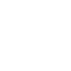 Bakkt Holdings, Inc. logo