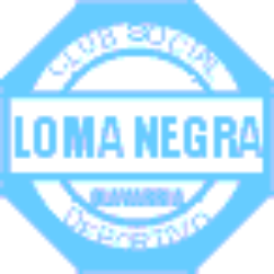Loma Negra Compañía Industrial Argentina Sociedad Anónima logo