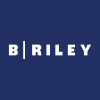 B. Riley Financial, Inc. 6.00% Senior Notes Due 2028 logo
