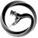 Viper Energy, Inc. logo